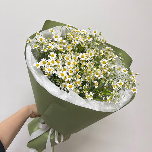 Букет ромашек 💛🤍