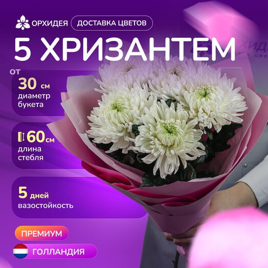 Букет 5 Хризантем магнум белые