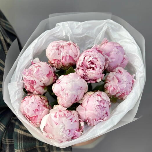 9 пионов розовых
