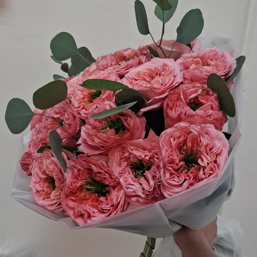 Букет из 19 пионовидных роз с веточками эвкалипта