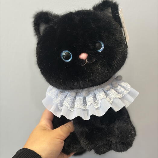 Черная кошечка в воротничке