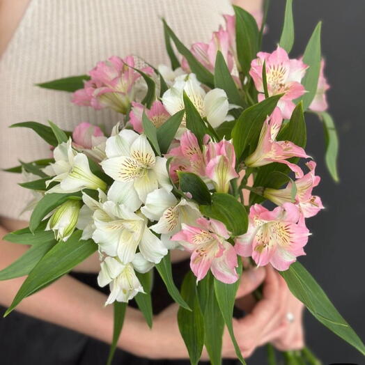 Милашка 🥰 🥰💐