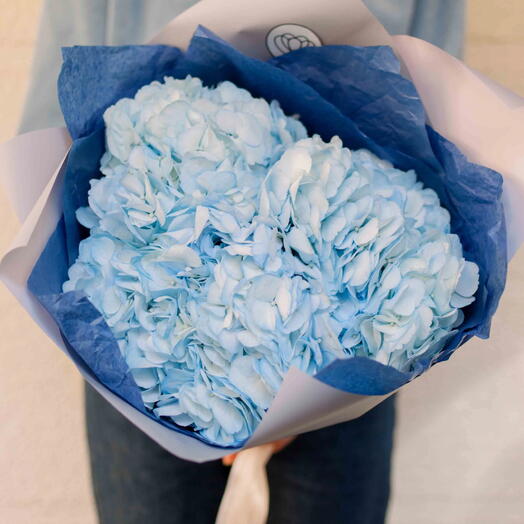 Ramo de 3 hortensias azules en película blanca