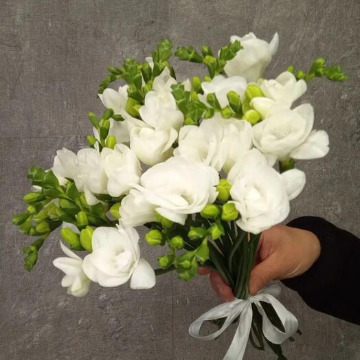 Фрезия 15