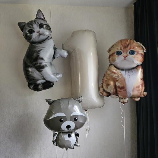 Шары котик, кошка,котик,енот на 1год,годик,годовасие мальчика сына,девочки,дочки-4шара