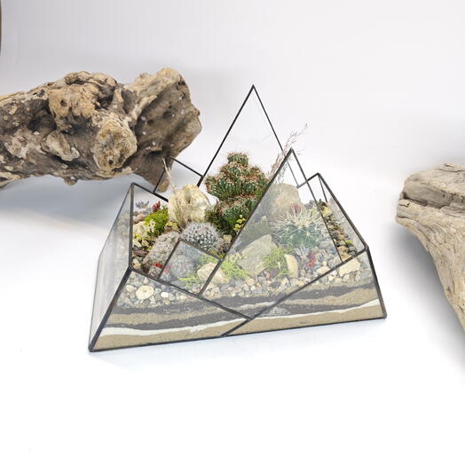 Florarium "Forest fairy tale" Mountains 25x17cm