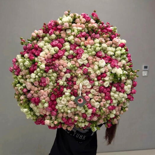 Fuchsia Fantasy