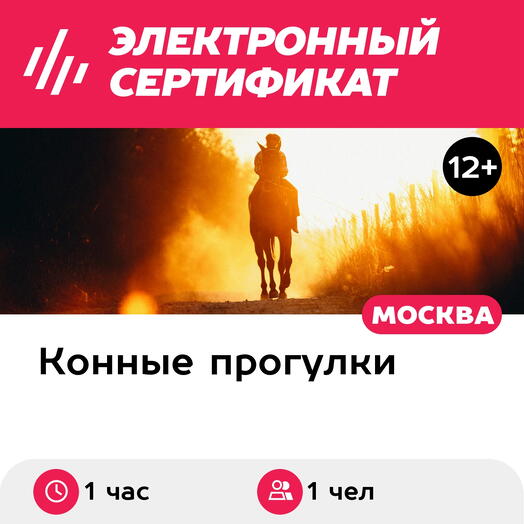 Подарочный сертификат Индивидуальная конная прогулка шагом, рысью и галопом, 1 чел. (1 час)