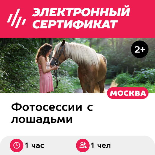 Подарочный сертификат Фотосессия с лошадью на свою технику, 1 чел. (1 час) (Московская область)