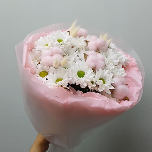 Хризантема кустовая с хлопком
