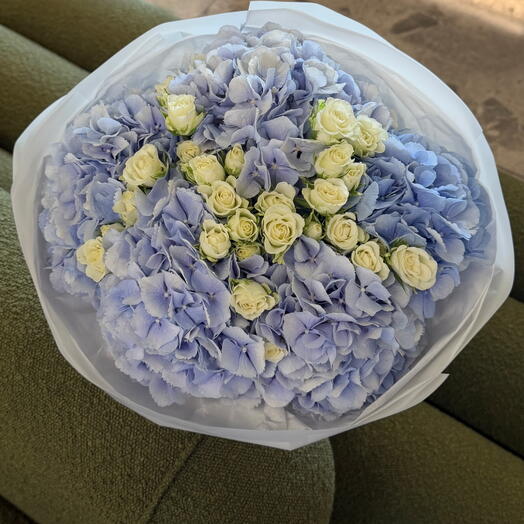 Signature Bloom