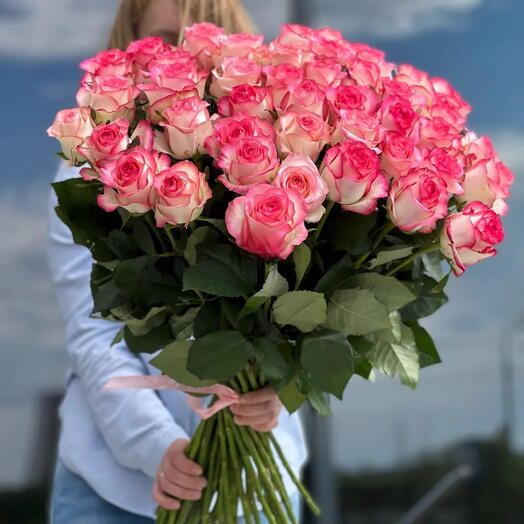 Pink roses 51