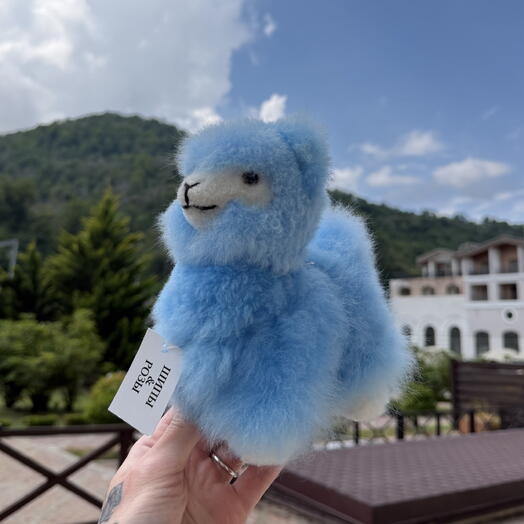 Лама нежно-голубая