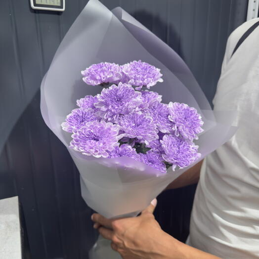 Букет фиолетовый 💜 хризантема 3 шт