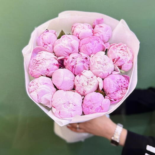 Розовые пионы Сара Бернар 15шт