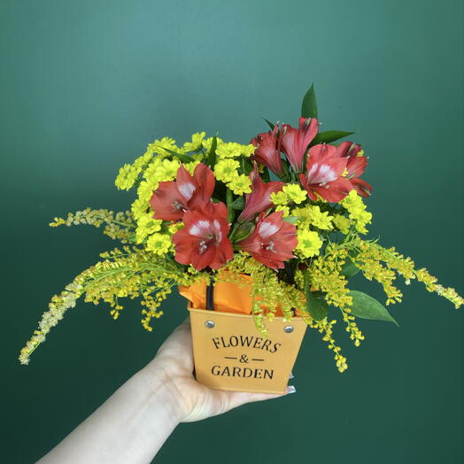Яркая Корзинка с Альстромерией и Сантини
