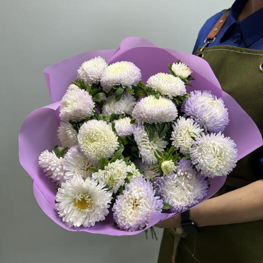 Сиреневые кустовые Астры