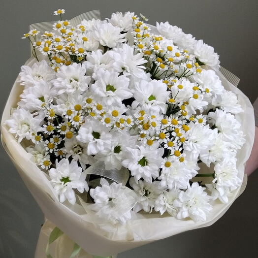 Хризантема кустовая с ромашкой 🌼