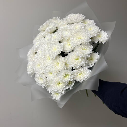 букет из 11 кустовых хризантем в прозрачной упаковке