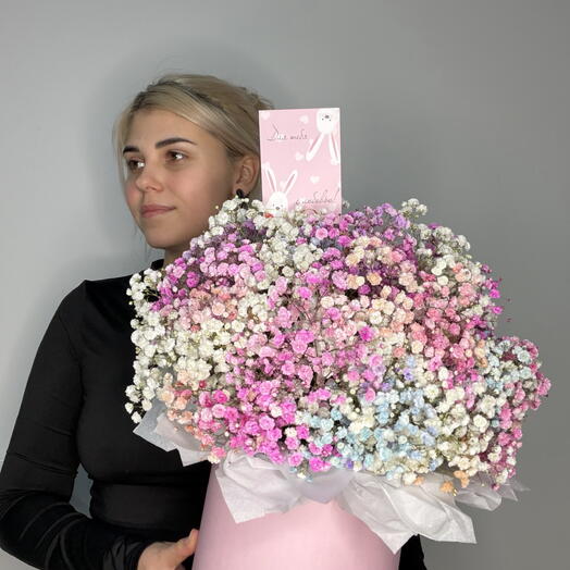 Радужная гипсофила💗