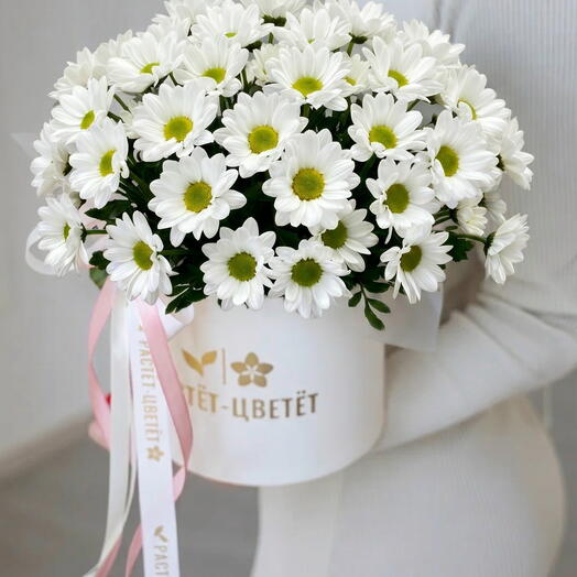 Композиция с ромашковой хризантемой в коробке (размер S, 7шт)