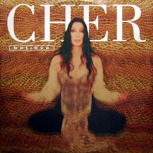 Винтажная пластинка Cher / Шер — Believe, VG+