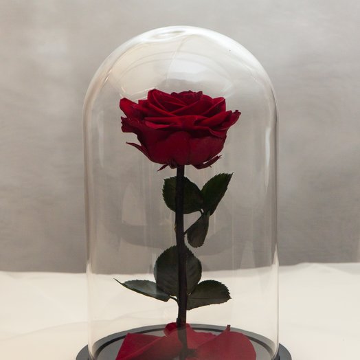 La rosa en el matraz RozaRose Medio Burdeos