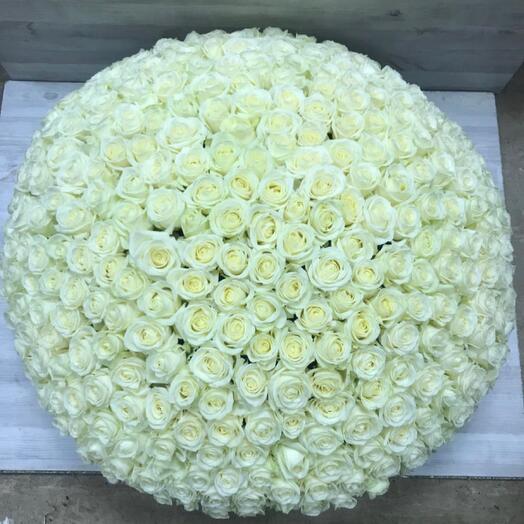 201 Roses in the Basket