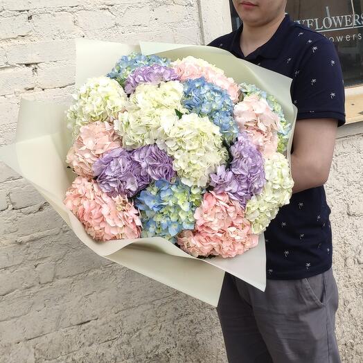 Hortensia