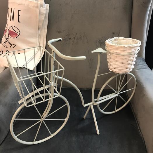 Bicycle under a potted plant