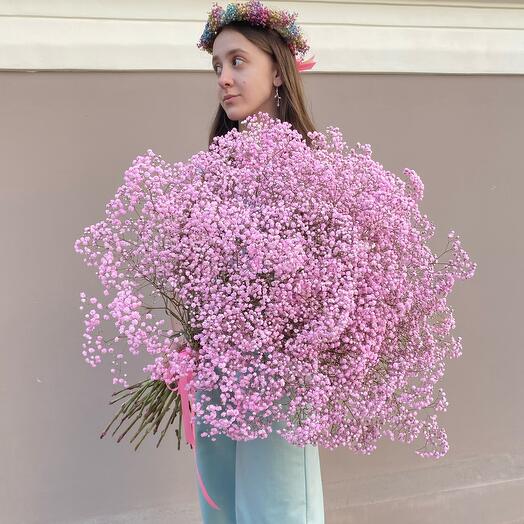 Gypsophila pink