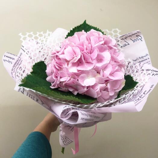 Hortensia