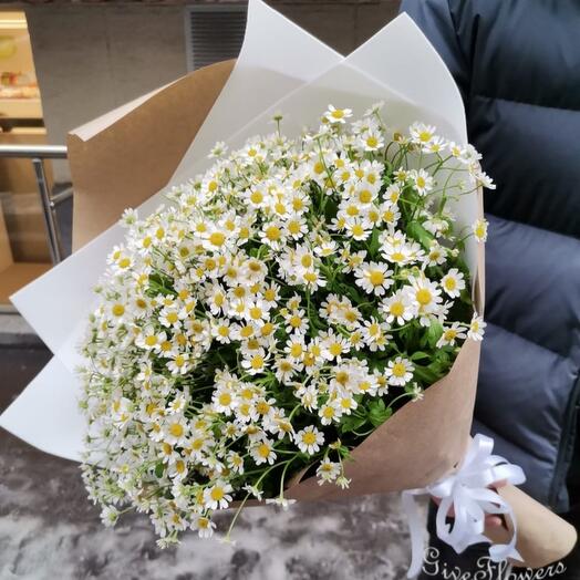 Bouquet of 25 bush daisies