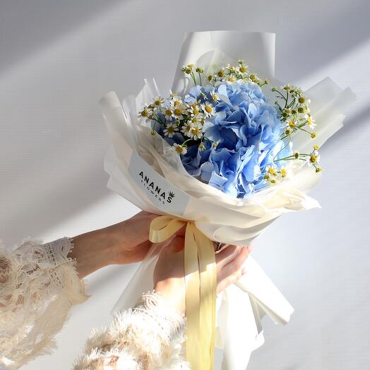 Bouquet with hydrangea and daisies