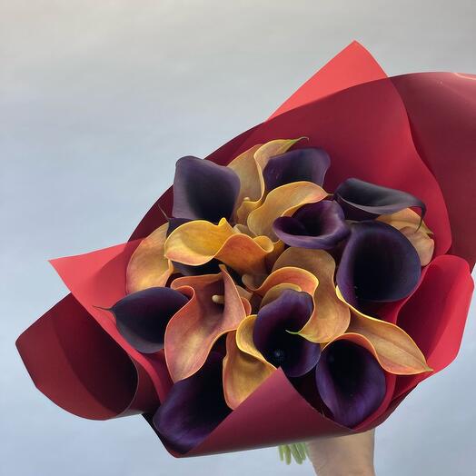 Calla Mix 19