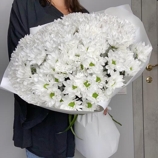 Crisantemos blancos