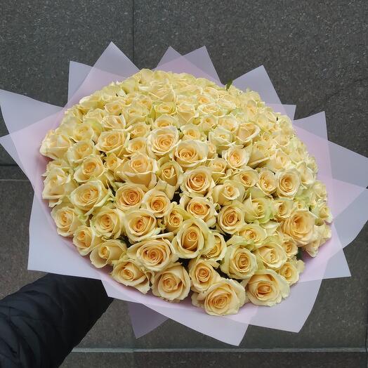 101 Cream Roses
