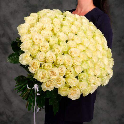 Სუპერ 101 თეთრი ვარდი
