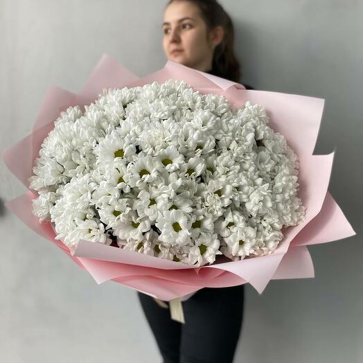 Букет из 25 белых ромашковидных хризантем