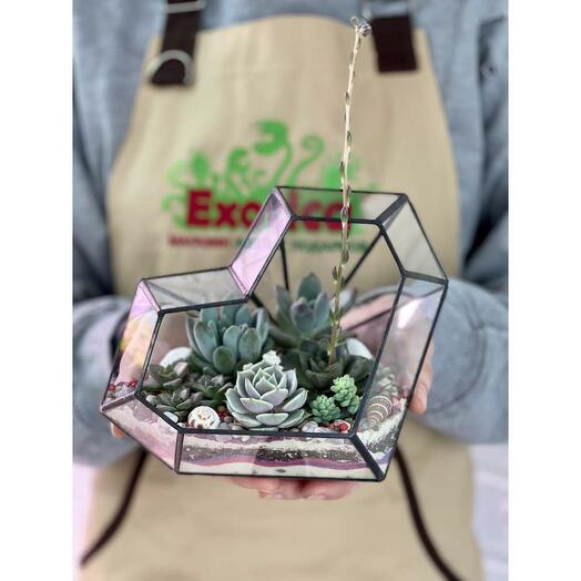 Florarium "Corazón nuevo" con Mini plantas