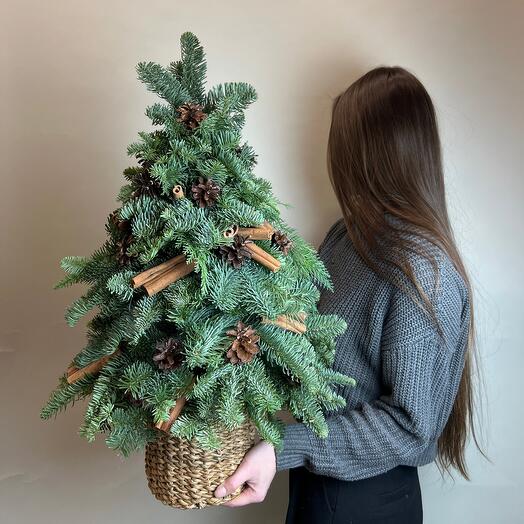 Ёлочка в корзине 🧺 🌲