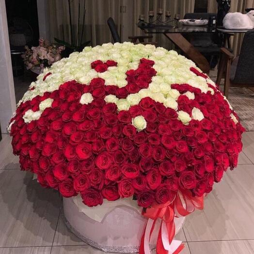 303 розы в коробке