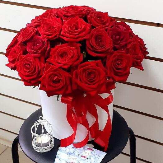 Rosas rojas en una Caja
