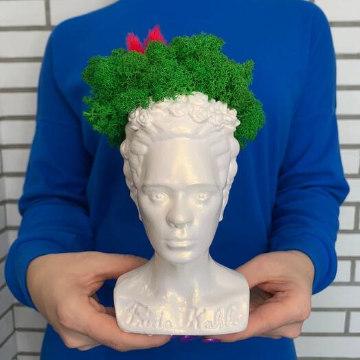 Composition with moss stabilized Frida
