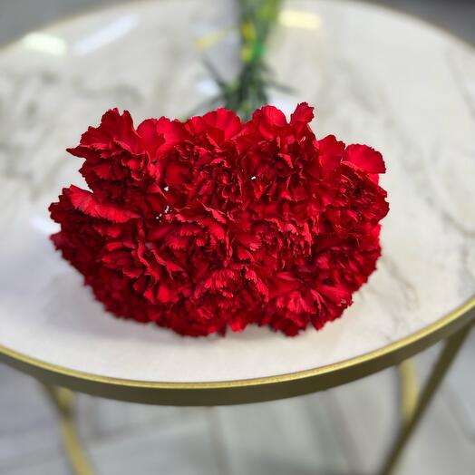 Claveles rojos