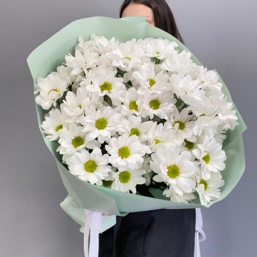 Ромашковые хризантемы