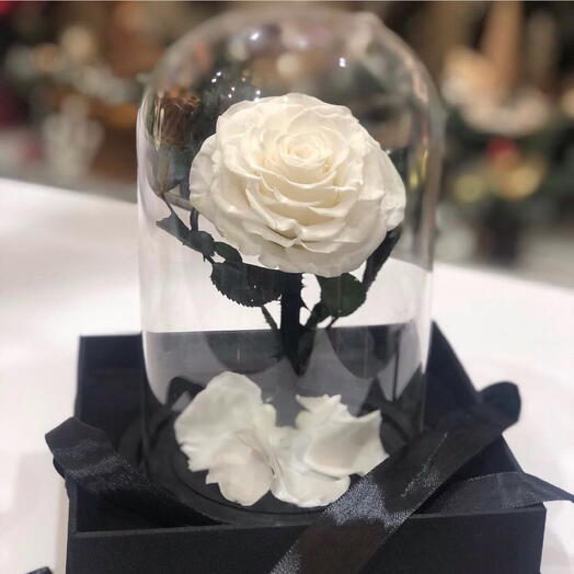 Eternal rose in glass dome 7