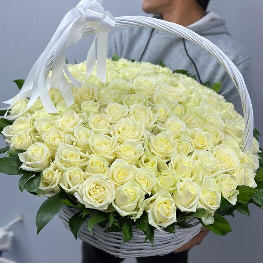White Rose in a basket