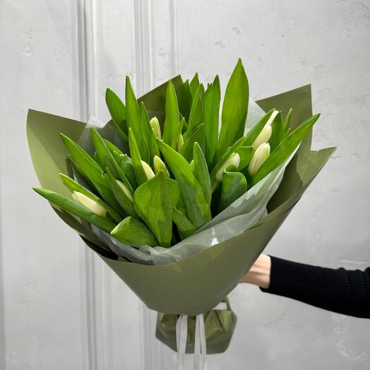 Ramo de tulipanes "Grinch" (15 piezas)