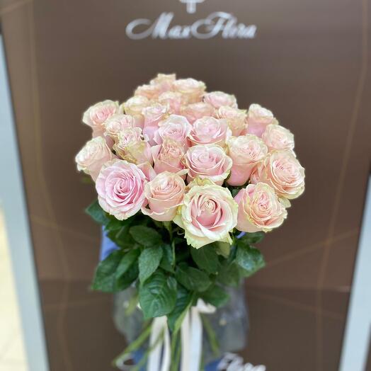 Розы Эквадор 25